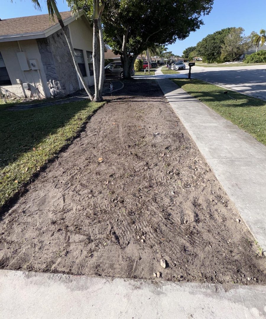 After — Sod Installation